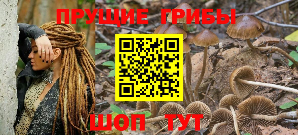 купить   Галлюциногенные грибы Cubensis  Галлюциногенные грибы MAGIC MUSHROOMS  Вход с VPN  Сегежа 