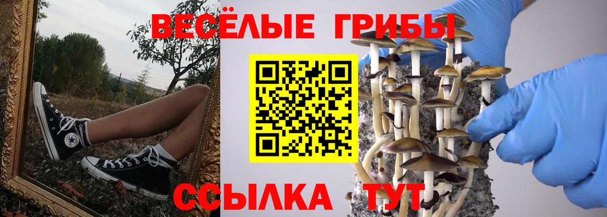 Галлюциногенные грибы GOLDEN TEACHER Сегежа